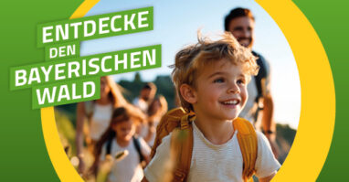 Website Kachel wb entdeckertouren 382x199 Die besten waldbahn-Ausflüge