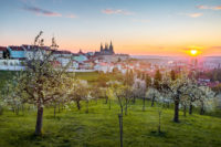 romantische Aussicht vom Petrin Hügel Prag bei Sonnenuntergang