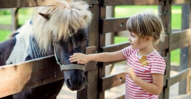 Kind mit Pony