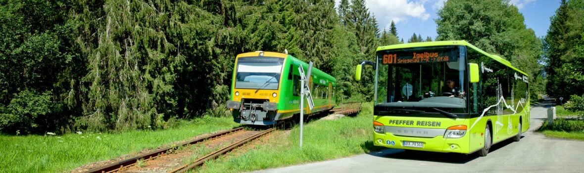 Igelbus und waldbahn