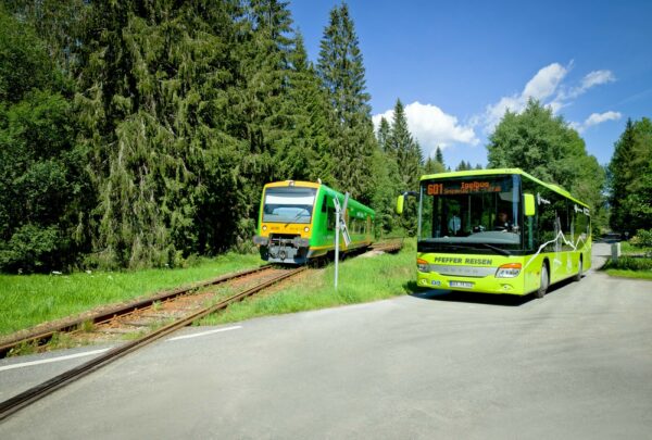 Igelbus und waldbahn