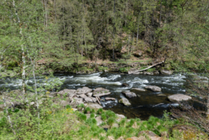 Flusswanderung in Bayerisch Kanada Dieter Neumann