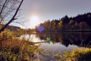 Flusswanderweg von Zwiesel nach Regen woidlife Marco Felgenhauer