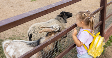 Citytouren Landshut Hofgarten