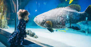 City tours tip: SEA Life in Munich